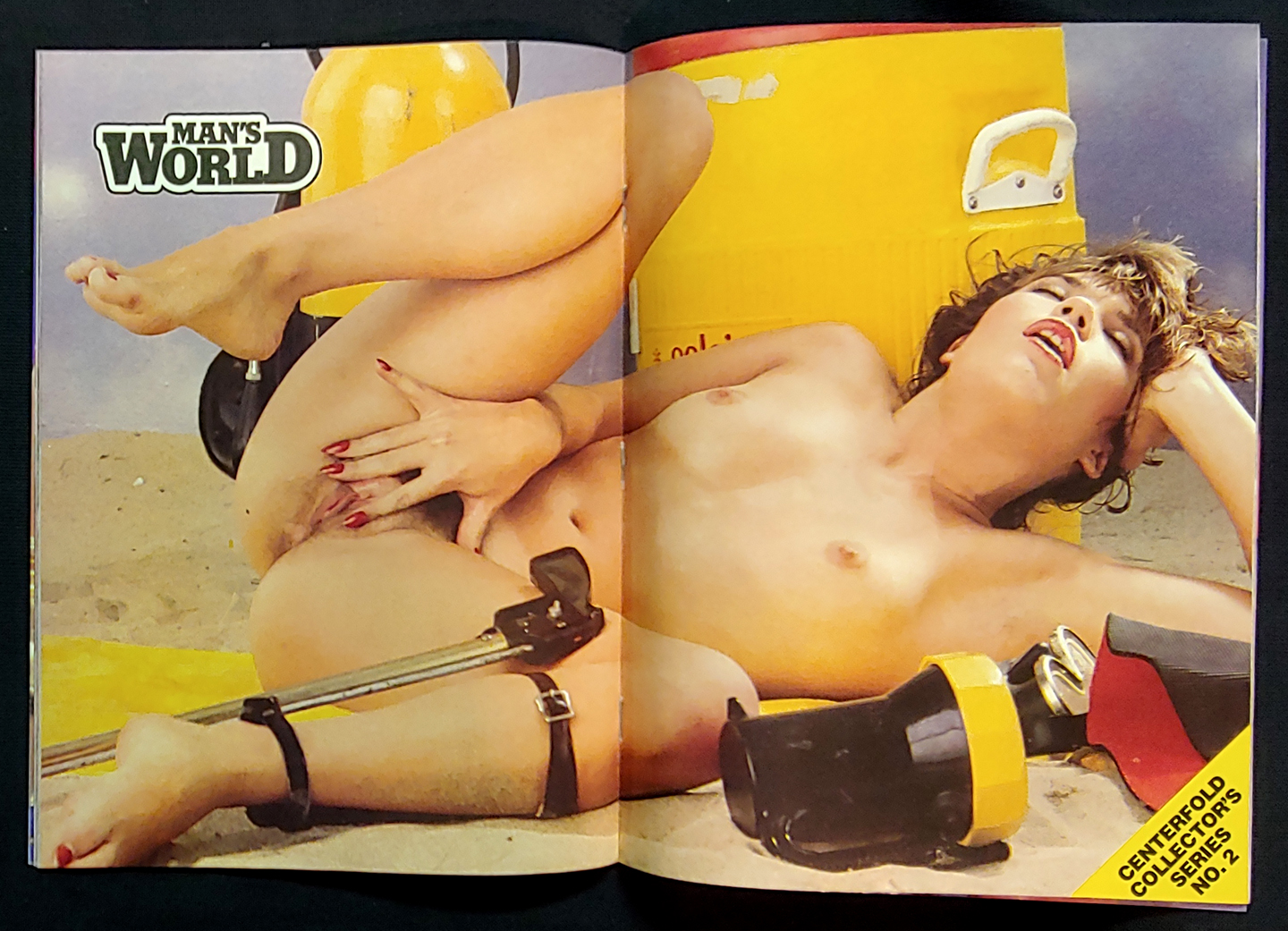 Samantha fox penthouse